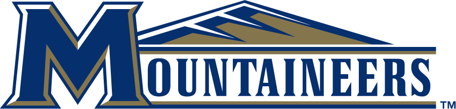 Mount St. Marys Mountaineers 2006-2016 Wordmark Logo v4 diy iron on heat transfer